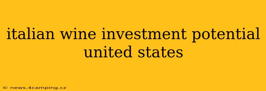 italian wine investment potential united states