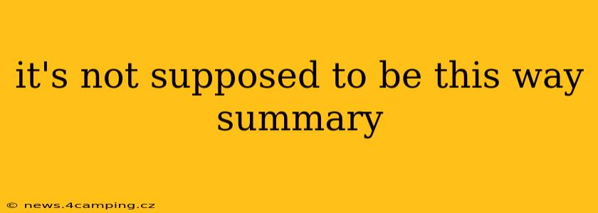 it's not supposed to be this way summary