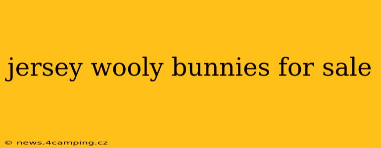 jersey wooly bunnies for sale