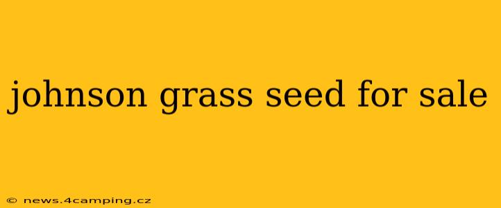 johnson grass seed for sale