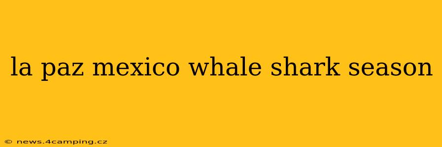 la paz mexico whale shark season