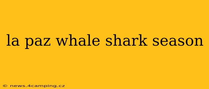 la paz whale shark season