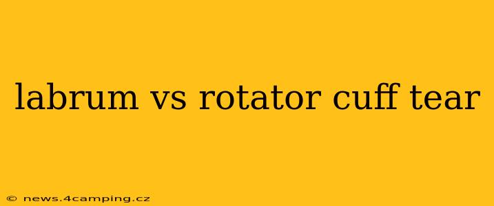 labrum vs rotator cuff tear
