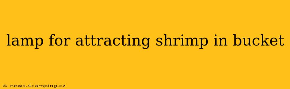 lamp for attracting shrimp in bucket