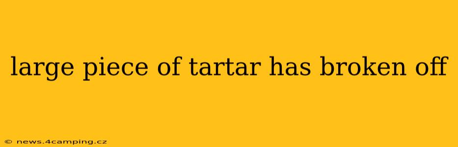 large piece of tartar has broken off