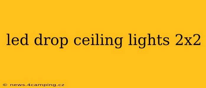 led drop ceiling lights 2x2