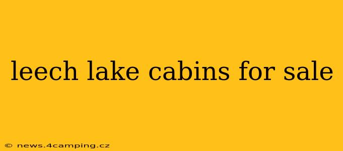 leech lake cabins for sale