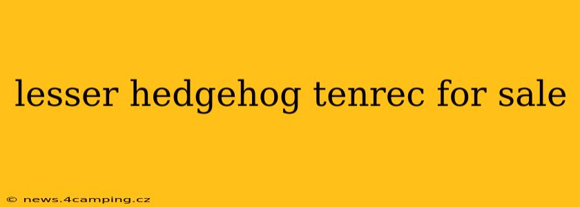 lesser hedgehog tenrec for sale