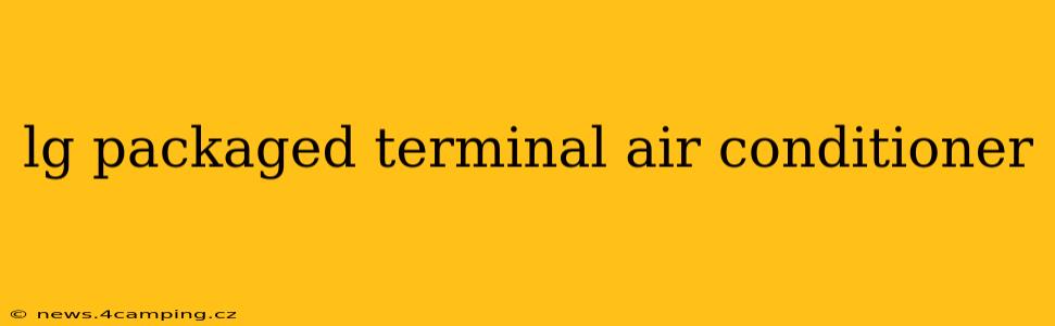 lg packaged terminal air conditioner