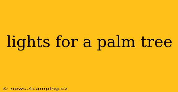 lights for a palm tree