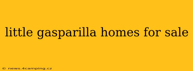 little gasparilla homes for sale