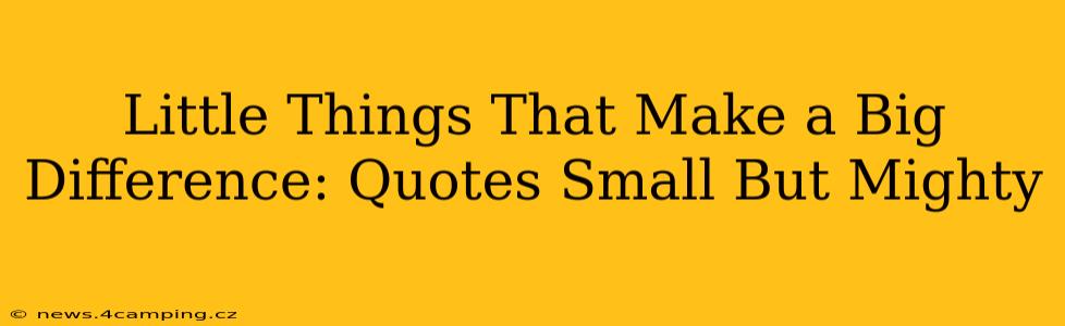 Little Things That Make a Big Difference: Quotes Small But Mighty