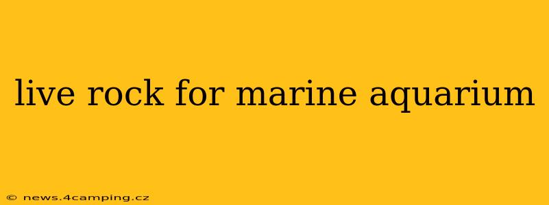 live rock for marine aquarium