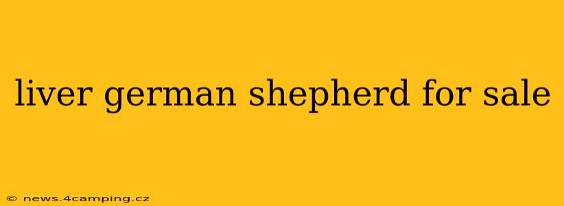 liver german shepherd for sale