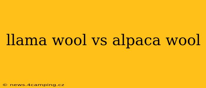 llama wool vs alpaca wool