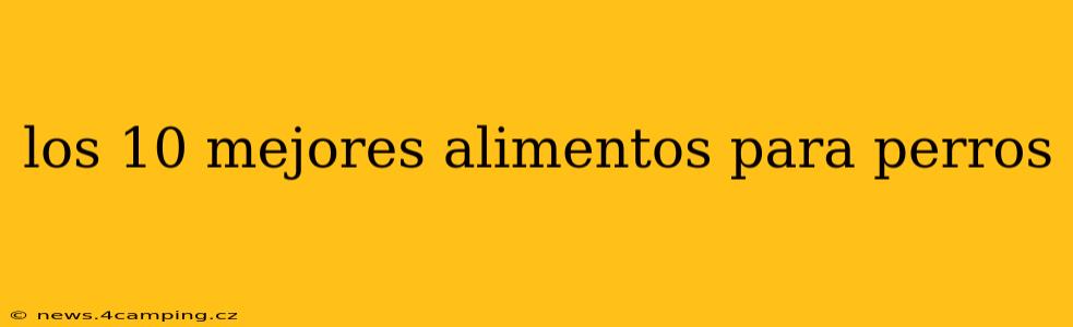 los 10 mejores alimentos para perros