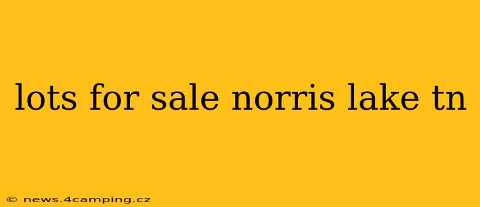 lots for sale norris lake tn