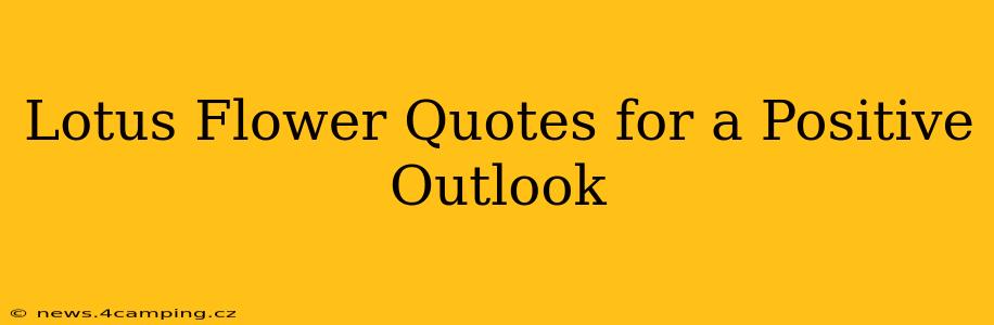 Lotus Flower Quotes for a Positive Outlook