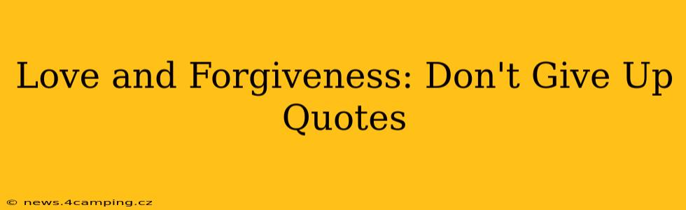 Love and Forgiveness: Don't Give Up Quotes
