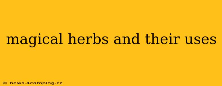 magical herbs and their uses
