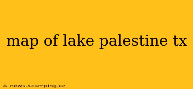 map of lake palestine tx
