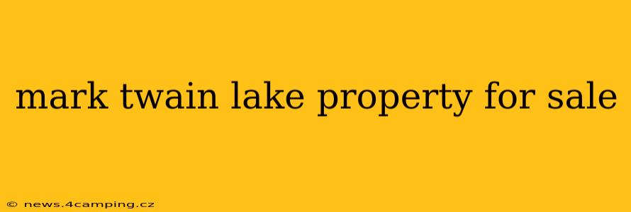 mark twain lake property for sale