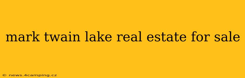 mark twain lake real estate for sale