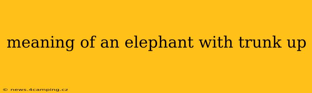 meaning of an elephant with trunk up