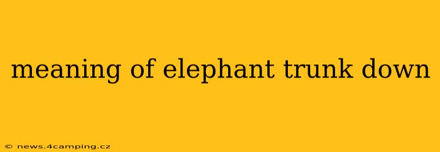 meaning of elephant trunk down