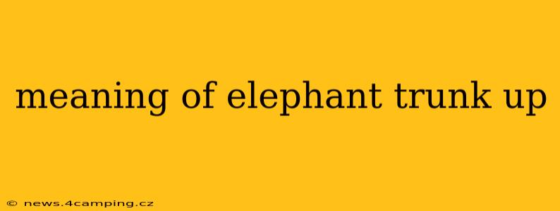 meaning of elephant trunk up