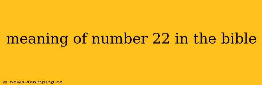 meaning of number 22 in the bible