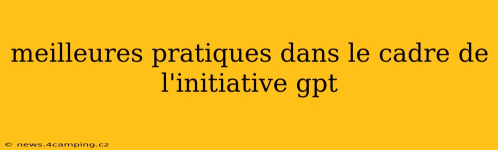 meilleures pratiques dans le cadre de l'initiative gpt