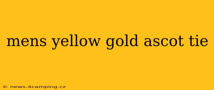 mens yellow gold ascot tie