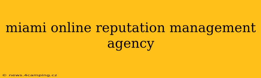 miami online reputation management agency