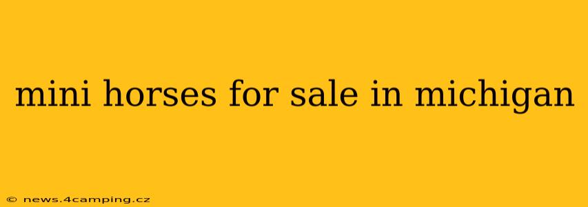 mini horses for sale in michigan