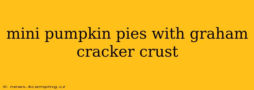 mini pumpkin pies with graham cracker crust