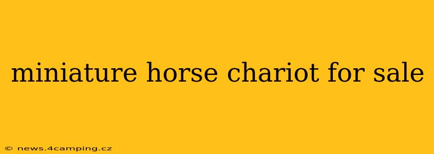 miniature horse chariot for sale
