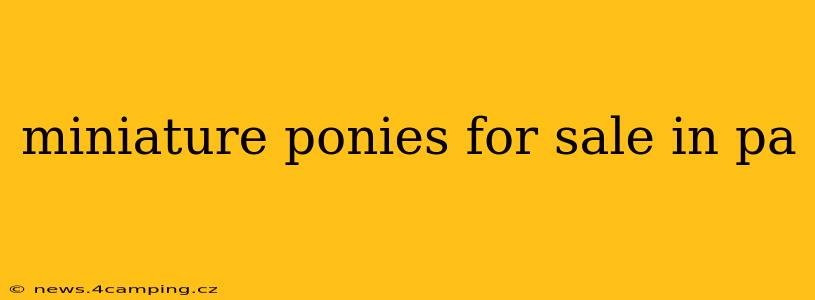 miniature ponies for sale in pa