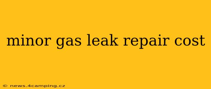 minor gas leak repair cost