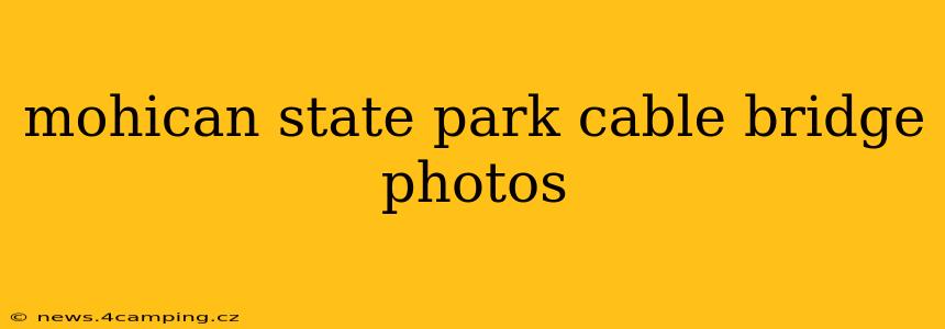 mohican state park cable bridge photos