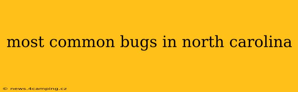 most common bugs in north carolina
