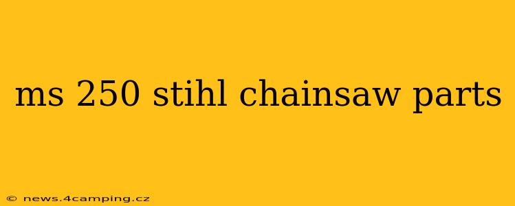 ms 250 stihl chainsaw parts