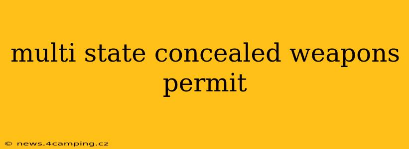 multi state concealed weapons permit