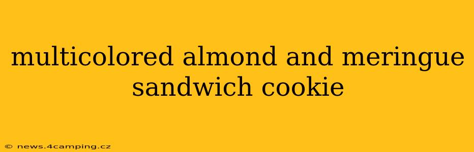 multicolored almond and meringue sandwich cookie