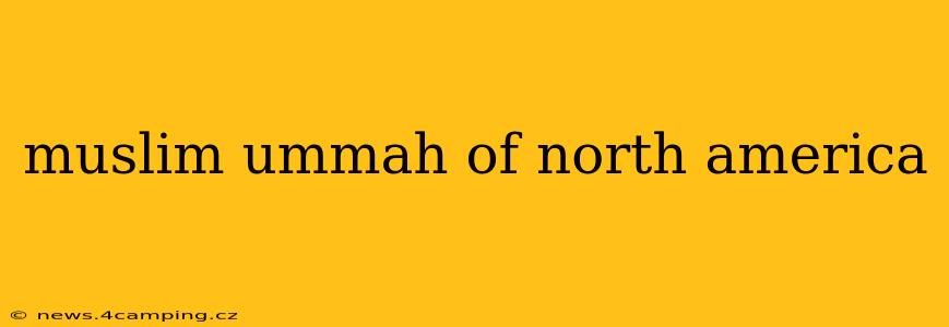 muslim ummah of north america