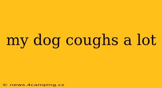my dog coughs a lot