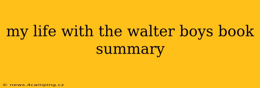 my life with the walter boys book summary