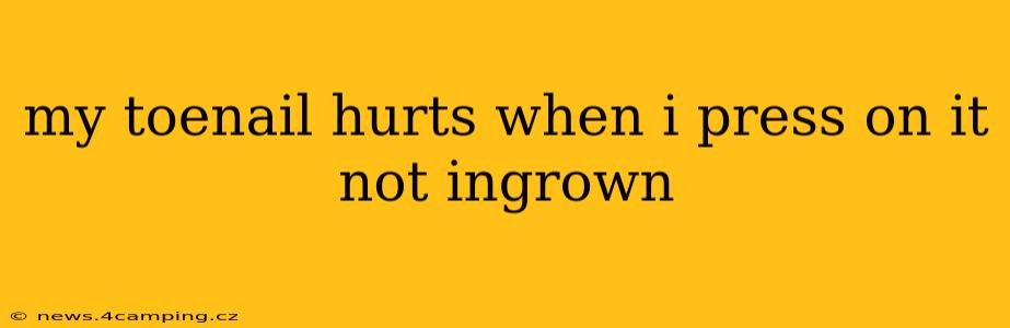 my toenail hurts when i press on it not ingrown