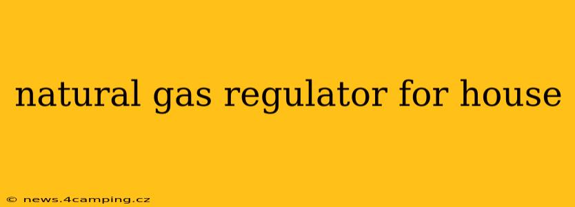 natural gas regulator for house