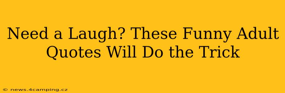 Need a Laugh? These Funny Adult Quotes Will Do the Trick